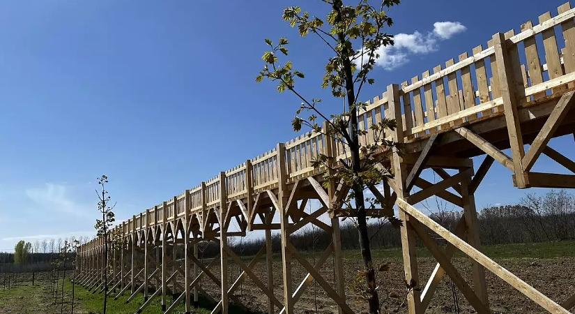 Mindent tagad a polgármester, 112 millió tűnt el a lombkoronasétányra