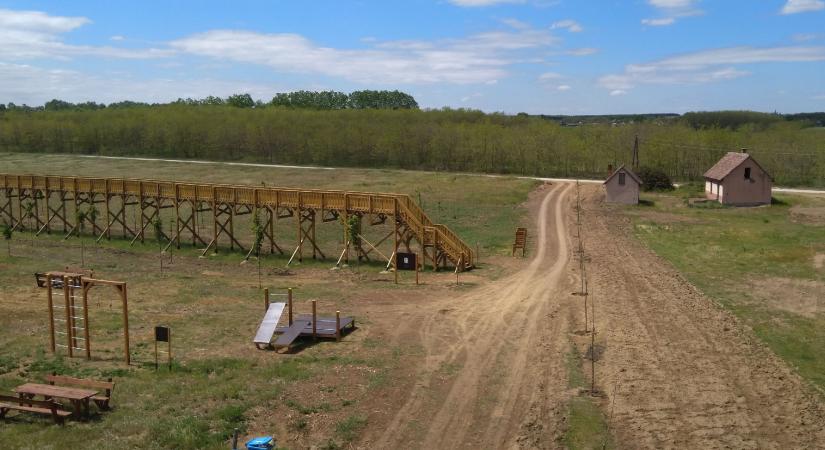 „Örüljünk ennek az eredménynek” – üzente Hadházy az erdő nélküli lombkoronasétány ügyében