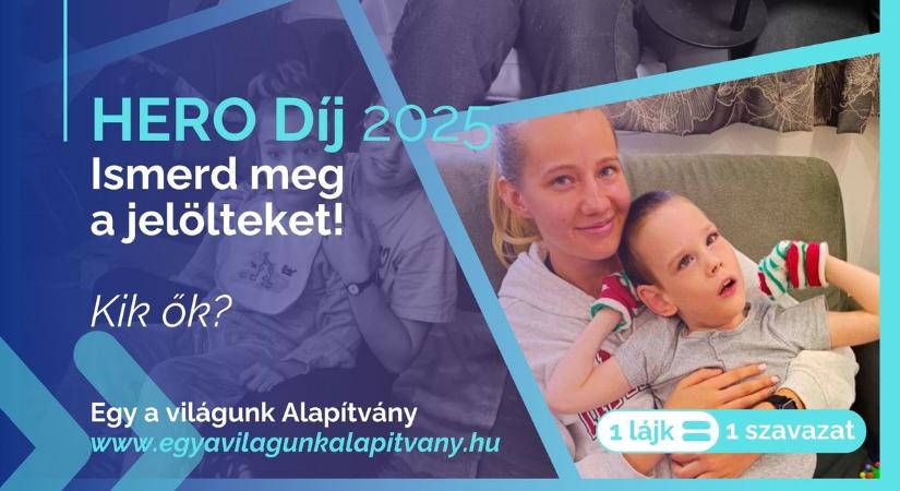 Rekordszámú pályázat érkezett a HERO Díjra – győri alapítványra is szavazhatunk