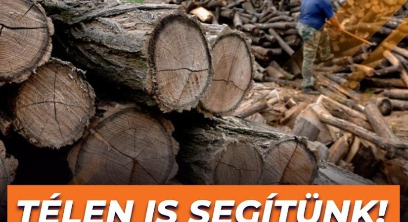 Fekete Dávid most épp a közpénzből adományozott téli tüzelővel flexszel