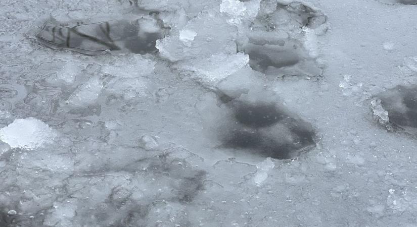 Kivágtak egy darabot a szolnoki Holt -Tisza jegéből, sokan nem örültek a hírnek