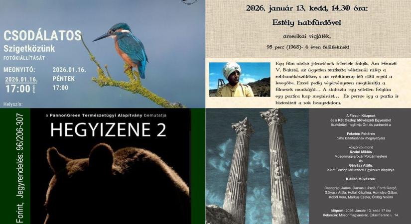 Ezek a programok várnak rád Mosonmagyaróváron!