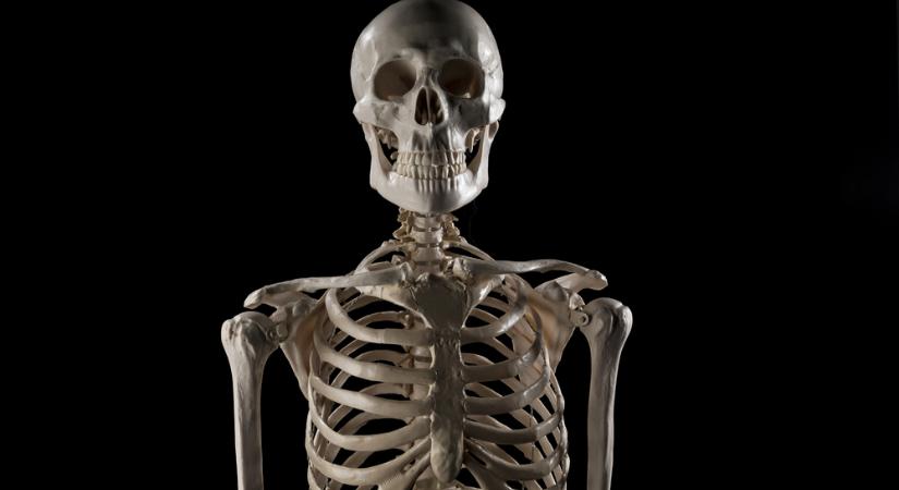 Miért születnek egyesek több csonttal?