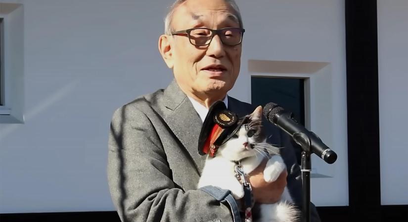 Újra macska lett az állomásfőnök egy japán vasútvonalon