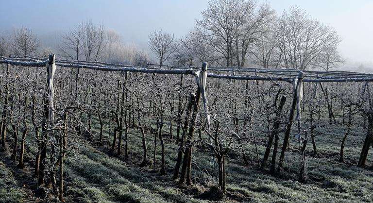 A brüsszeli tervek a magyarok tányérján is érezhetőek lesznek