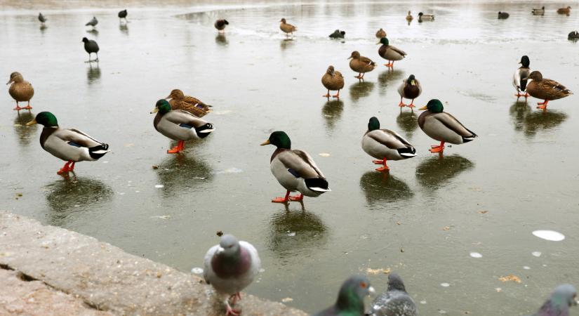 Jön a tél eddigi leghidegebb éjszakája, több megyére narancs veszélyjelzést adtak ki