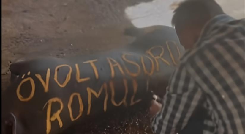 A bíróság kimondta elsőfokon, hogy Pócs János megsértette Ruszin-Szendi Romulusz emberi méltóságát, amikor állati zsiradékhoz hasonlította