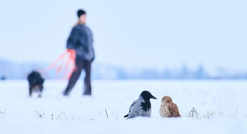 Tél Németországban