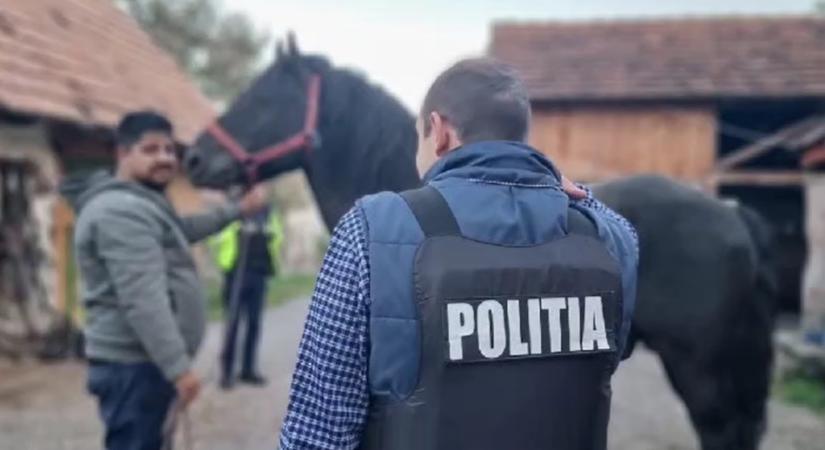 Erősödő fellépés az állatkínzás ellen: 440 esetet tártak fel a rendőrök Hargita megyében