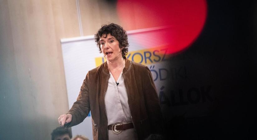 A hideg miatt emelné a kedvezményes áron igénybe vehető gáz és áram mennyiségét a Demokratikus Koalíció