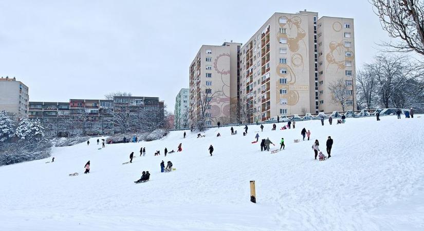 Végre újra benépesülhetett a városi szánkódomb (videóval)