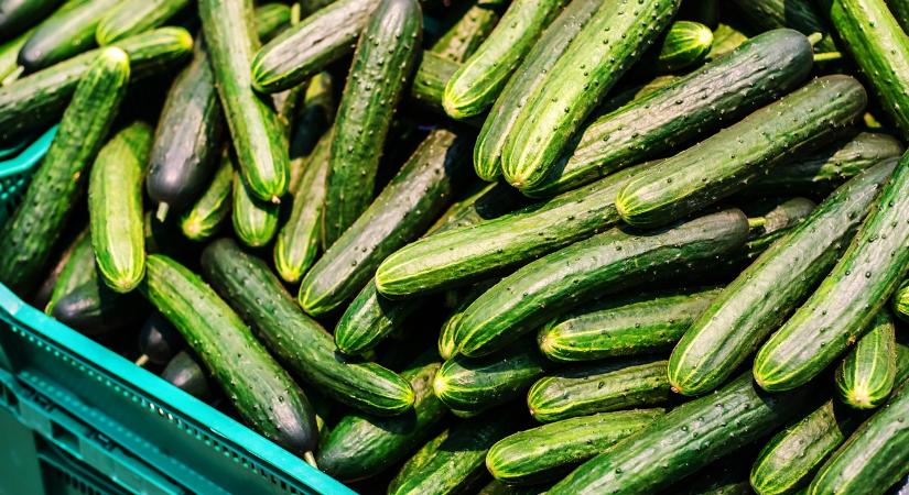 Neked is leesett az állad az uborka ára láttán?