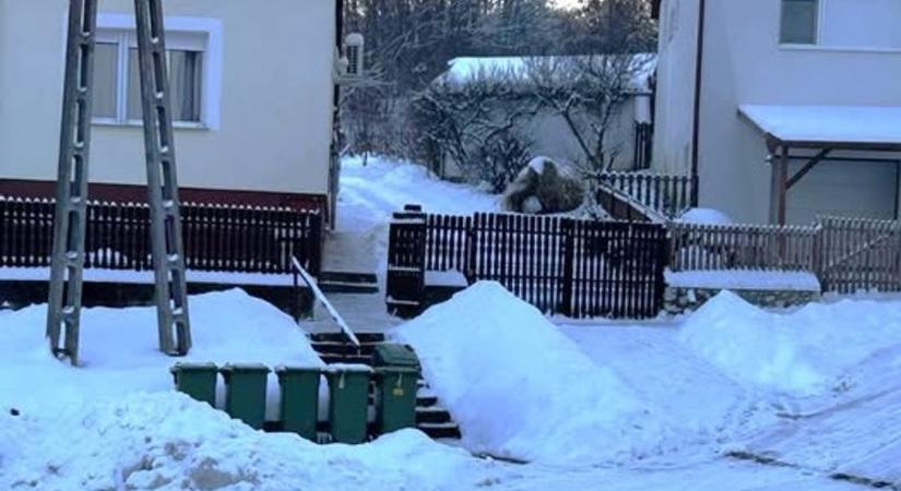 Összefogott a falu, besegítettek a kukásautóknak Zselickislakon