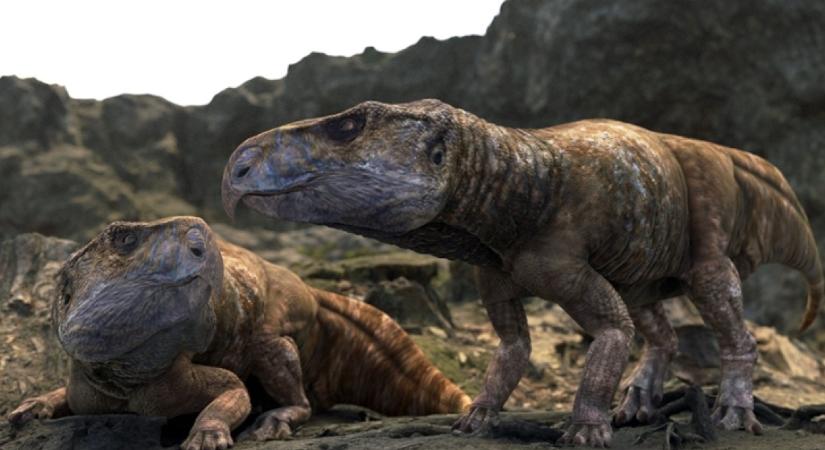 Ez a szenzációs felfedezés alapjaiban renget meg mindent, amit a dinoszauruszok fejlődéséről eddig hittünk