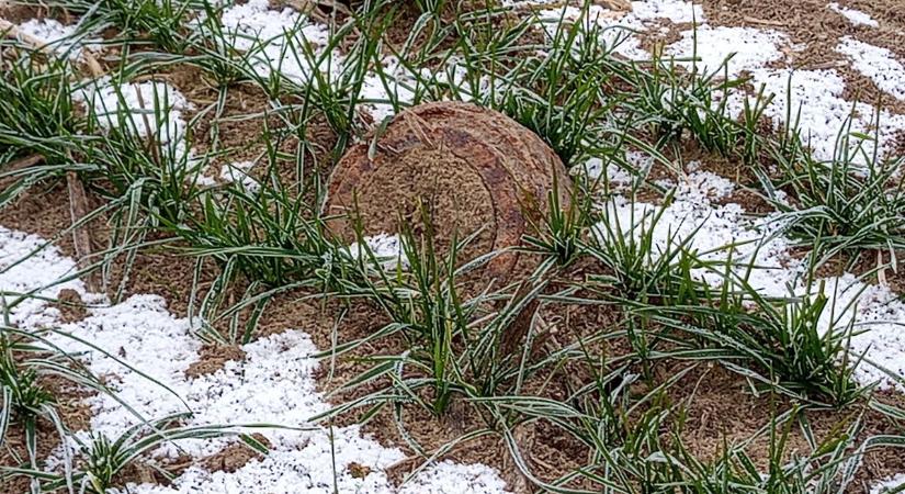 Majdnem tragédiába torkollott a vadetetés, pusztító szerkezetet találtak Abony határában