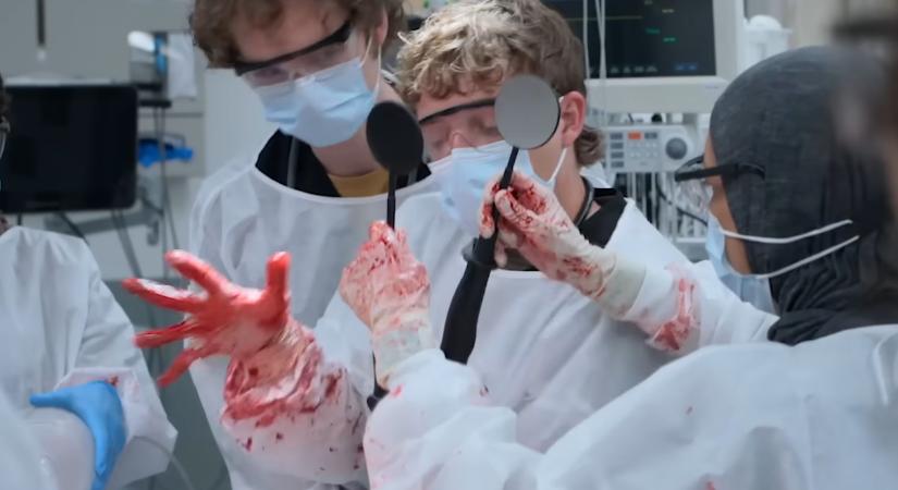 Már holnap az HBO Maxon: A 2. évaddal végre folytatódik az egyik legjobb kórházas sorozat!