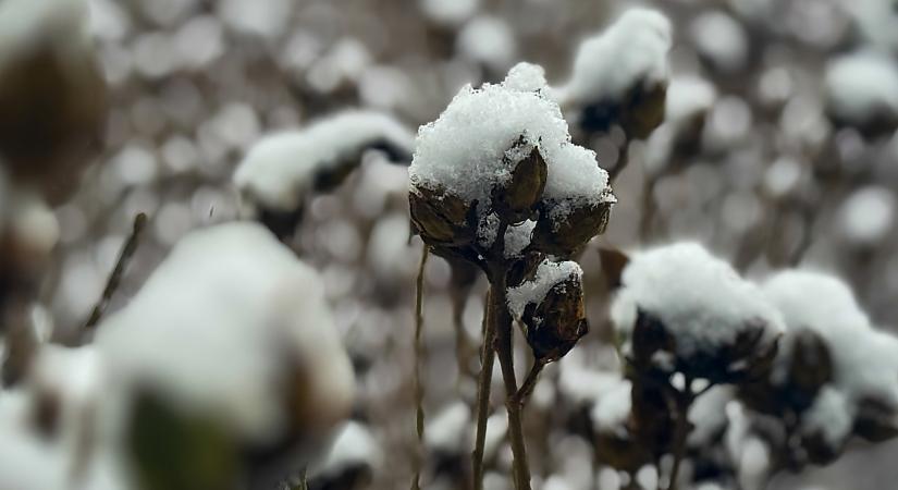 A mezőgazdaságnak jó a hó és a hideg
