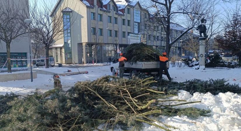 Lebontották Zalaegerszeg karácsonyfáját