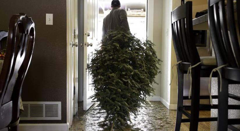 Milliós kárt kockáztatsz, ha ezt teszed a karácsonyfáddal