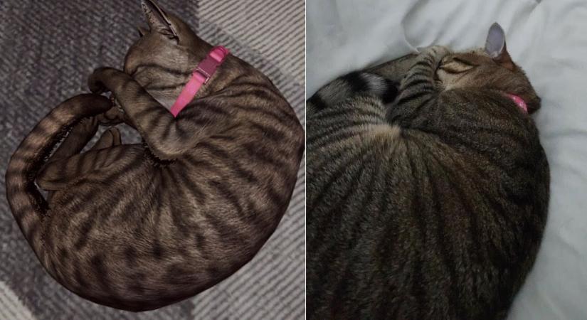 Film egy különös horrorból: macskasimogatással őrizhetjük meg az ép eszünket