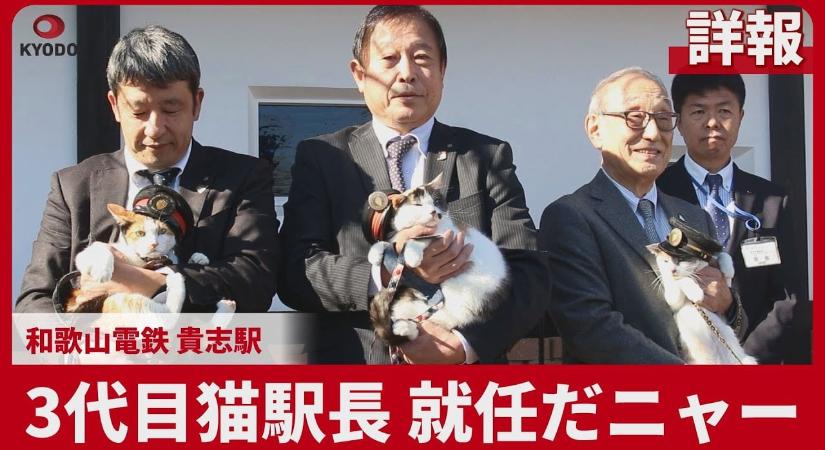 Nem vicc: egy macskát neveztek ki állomásfőnöknek Japánban