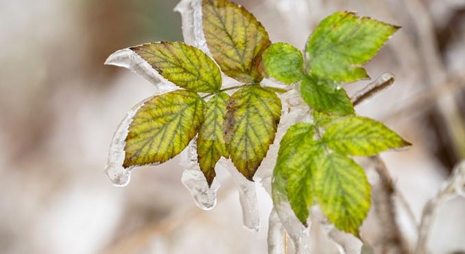 Ónos eső nehezíti a közlekedést: több iskolában online oktatásra állnak át