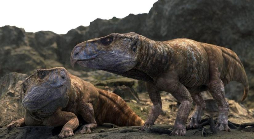 Nagy rejtélyre született magyarázat egy Magyarországon talált dinoszauruszlelettel