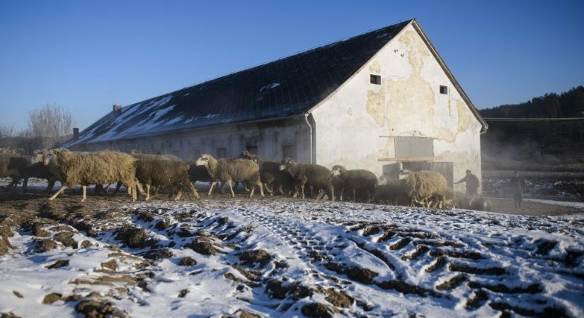 Sarkvidéki hideg Magyarországon: mínusz 24 fokot mértek Zabarban