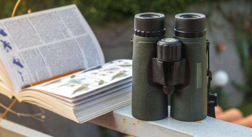 Idegenvezetés a Pintér-kert Arborétumban és "Életmű" c. kiállítás is várja az érdeklődőket