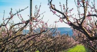Ezt a pályázatot is túligényeltük