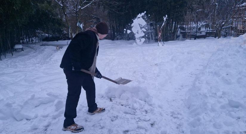 Videón, fotókon Tatabánya havas hősei, egy emberként ragadtak hólapátot