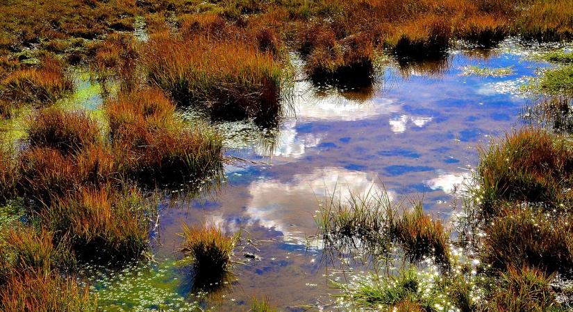 Most kell elkezdeni a védekezést az aszály ellen, pénz is van rá