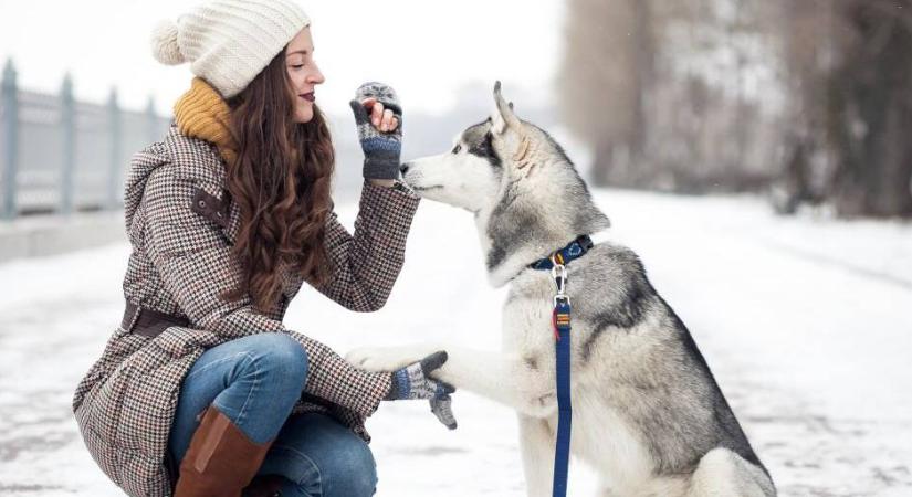 Így nem fagy be az állatok itatójában a víz, működik az egyszerű trükk