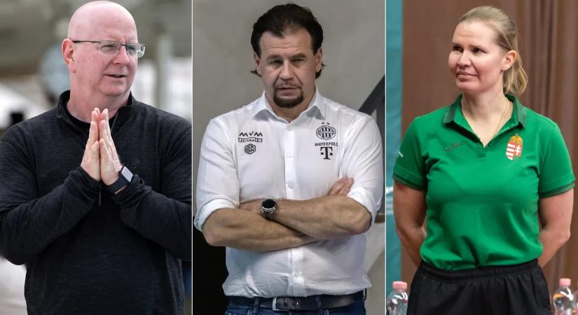 Nemzeti Sport Gála: két külföldi az edzőjelöltek között