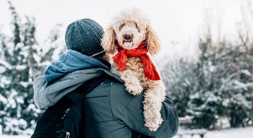 Két hazai vármegyére adtak ki vörös riasztást, de a többiben sem túl jó a helyzet