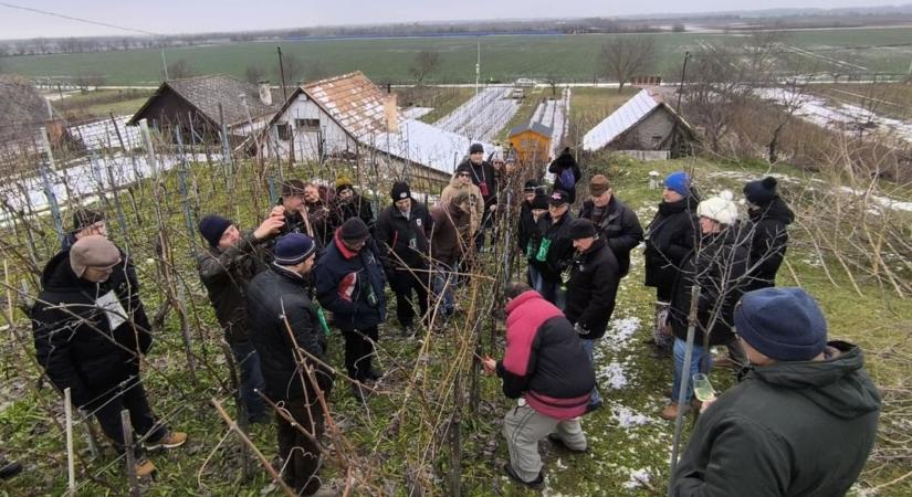 Évkezdésnek adonyi pincejárás