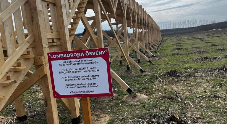 Gyanúsítottként hallgatták ki a nyírmártonfalvai lombkoronasétány ügyében a volt polgármestert