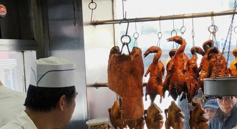 Ez nem kacsa: utcán kóborló galambokat szolgáltak fel egy kínai étteremben