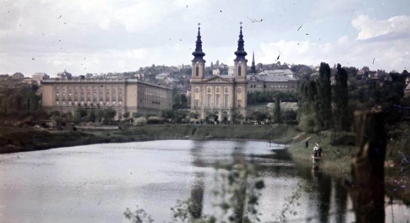 Népsport: a pártfőiskola eltemetett titkai