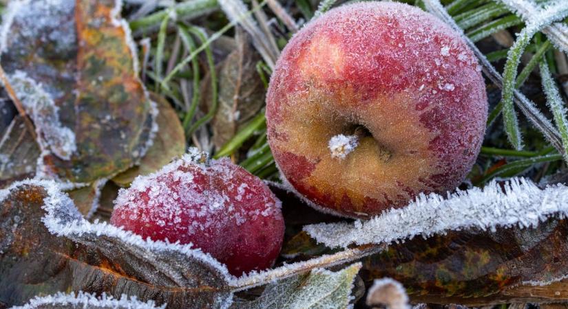 Támad a fagy, a kórházak felkészültek a betegek fogadására