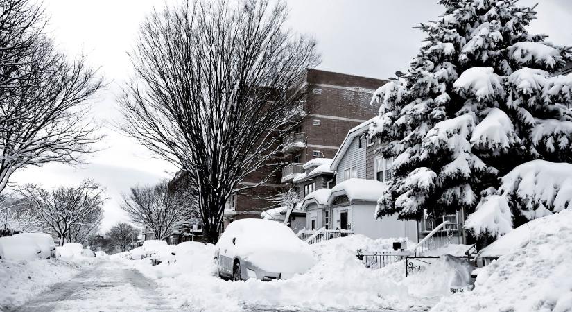 Csodájára jár a világ a magyar lakótelepnek, páratlan hószörny tűnt fel a kertekben