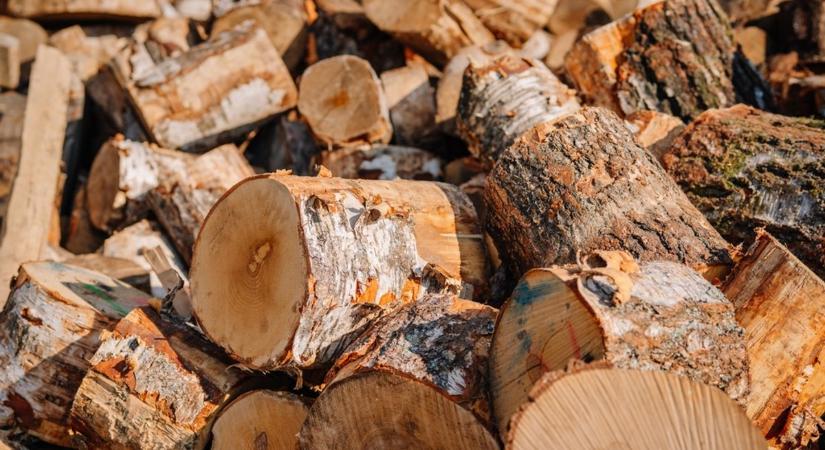 Sokan itt hibáznak a tűzifával: ez az oka, ha nem fűt rendesen a kályha