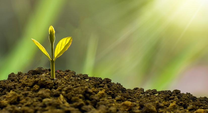 K&H fenntarthatósági index: a jó szándék megmaradt, de eltűnőben a mérhetőség