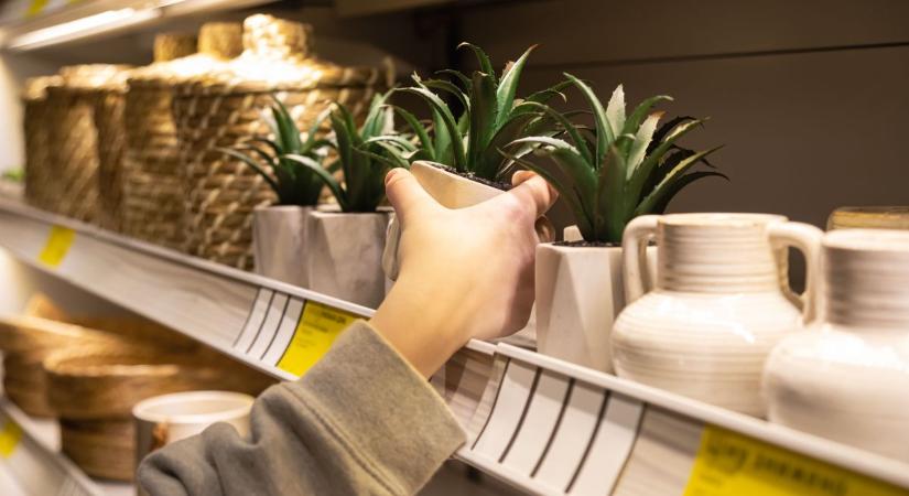 Bezár egy szombathelyi lakberendezési bolt