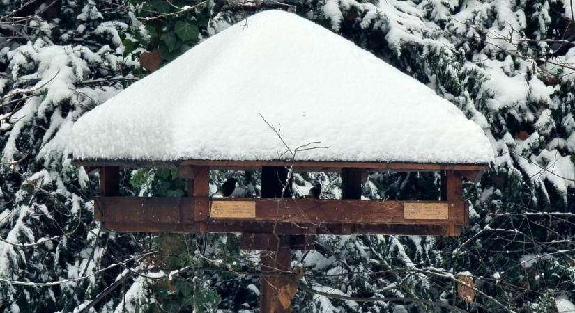 Nem hűhó, hanem hó