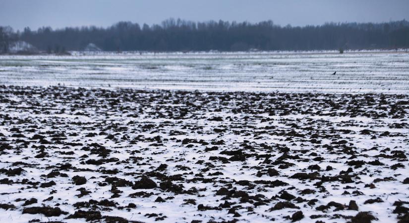 A havazás reményt adhat a földeken, de a csapadékhiány és a kártevők továbbra is komoly kihívást jelentenek