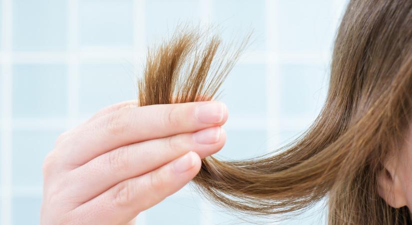 Hajad könyörög, hogy tartsd be! Tiltólista a töredezés elkerüléséhez