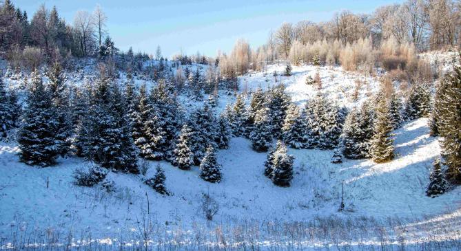 Közel -33 fokig hűlt le a levegő a Bükk-fennsíkon