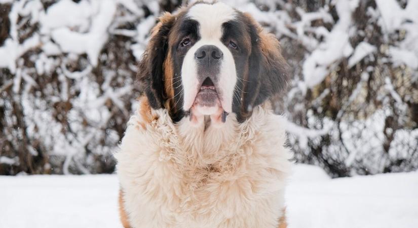 Már a magyarok egyik kedvenc helyénél is lezárásokra kell számítani a rendkívüli hidegben