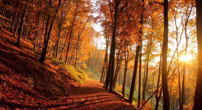 Újdonságok a magyar ESG-szabályozásban